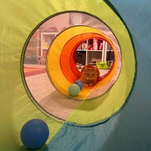 Meet your Posher, Maddie